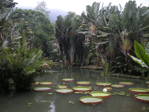 Jardim Botanical Gardens