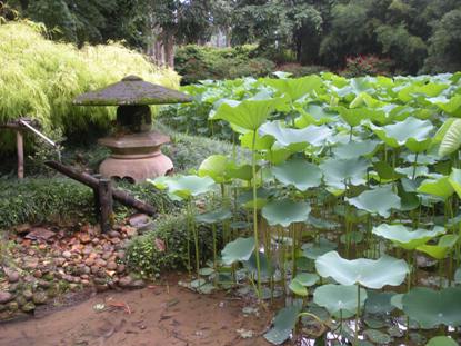 Jardim Botanical Gardens