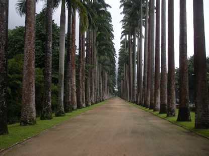 Jardim Botanical Gardens