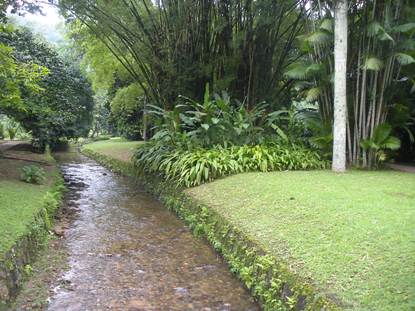 Jardim Botanical Gardens