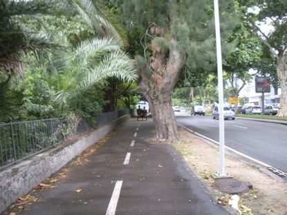 lagoa rio area