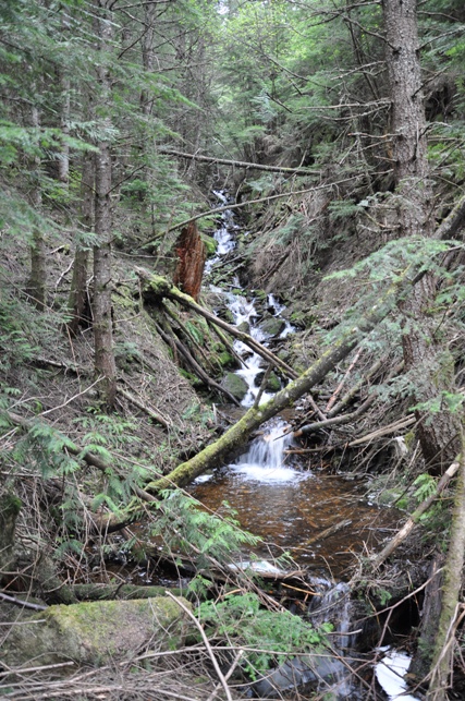 Bear Lake creek