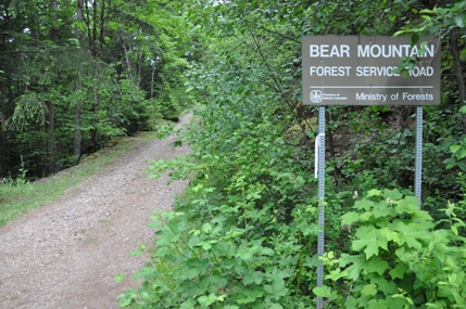 Bear Mountain Forest Service 