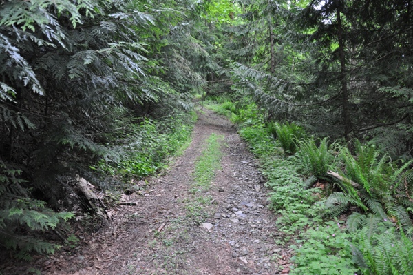 Bear Mountain trail