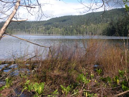 Killarney Lake