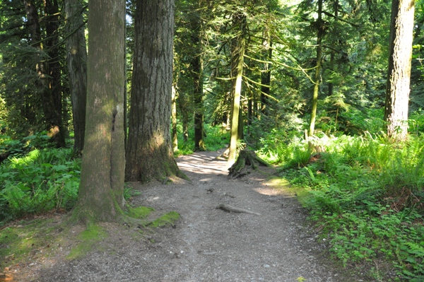 bridal veil falls park