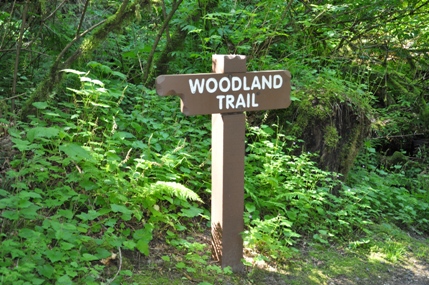 Woodland Trail