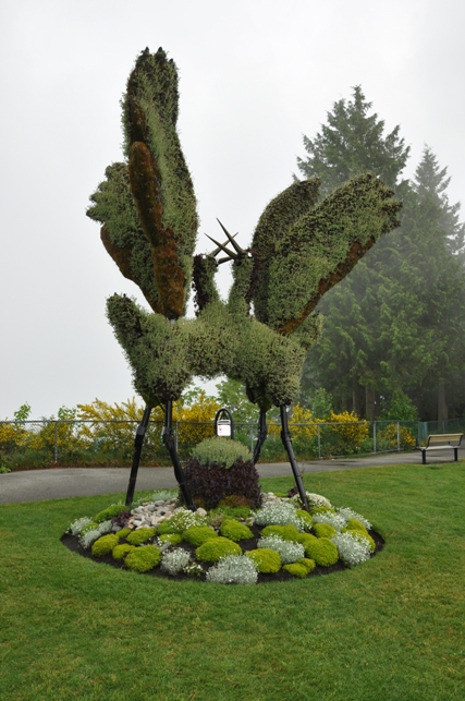 Burnaby Mountain Park