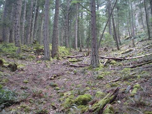 gambier island