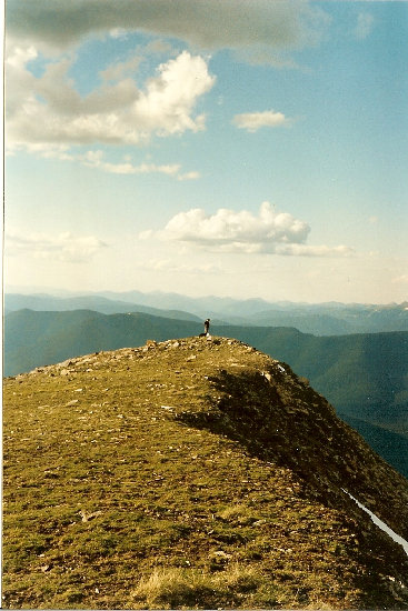 Summit of Indianpoint Mountain