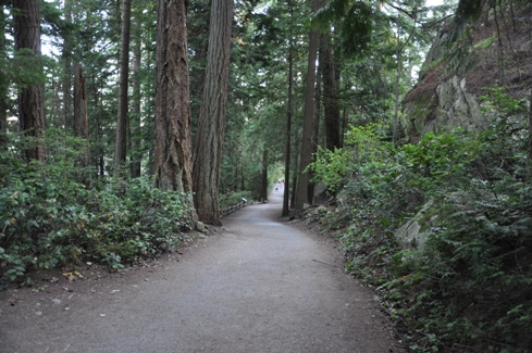 Lighthouse Park trail