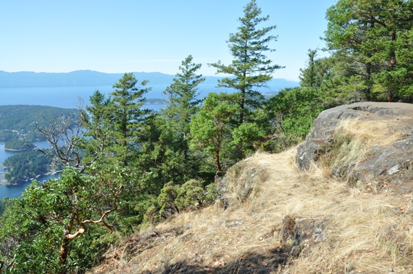 Balds on Mount Daniel