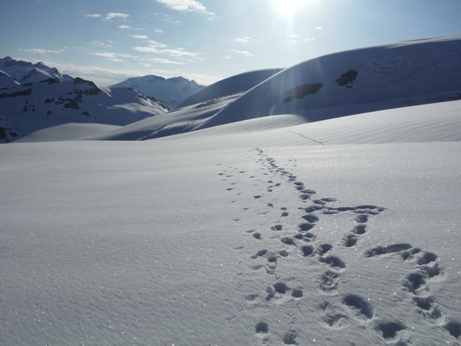 warren glacier