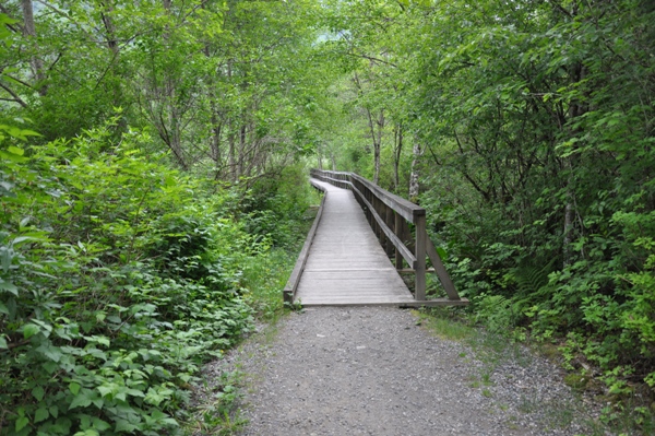 Deer Lake Trail