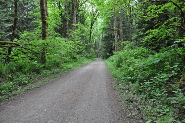 Hicks Lake Trail