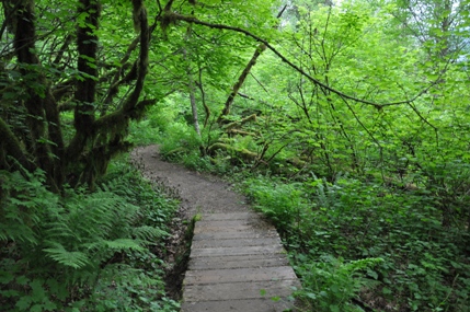 Hicks Lake Trail