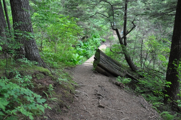 Hicks Lake Trail