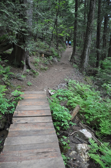 Hicks Lake Trail