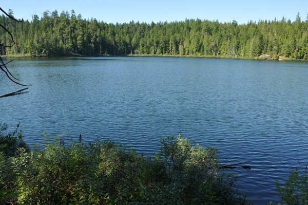 Brown Lake