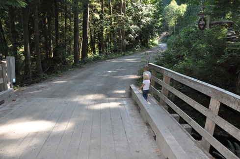 Skookumchuck Narrows road