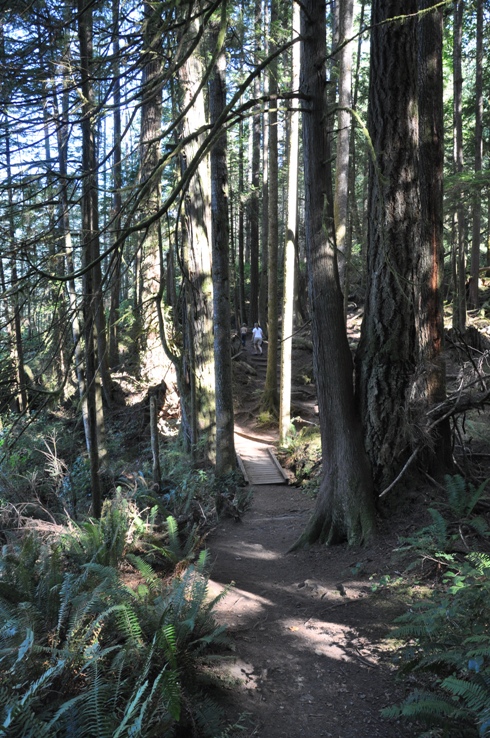 Skookumchuck Trail