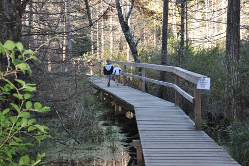 Smuggler Cove boardwalks