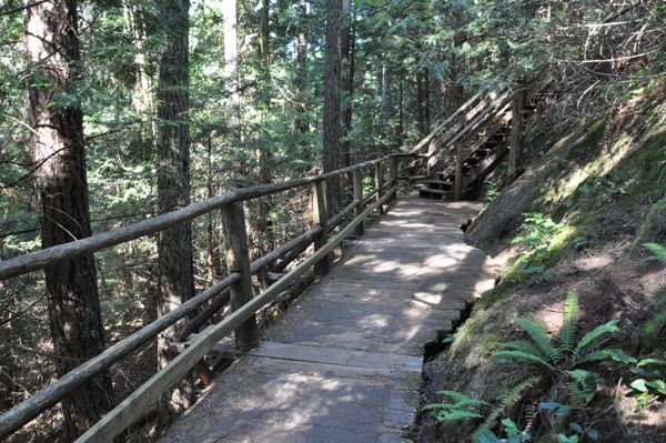 Soames Hill Park trail