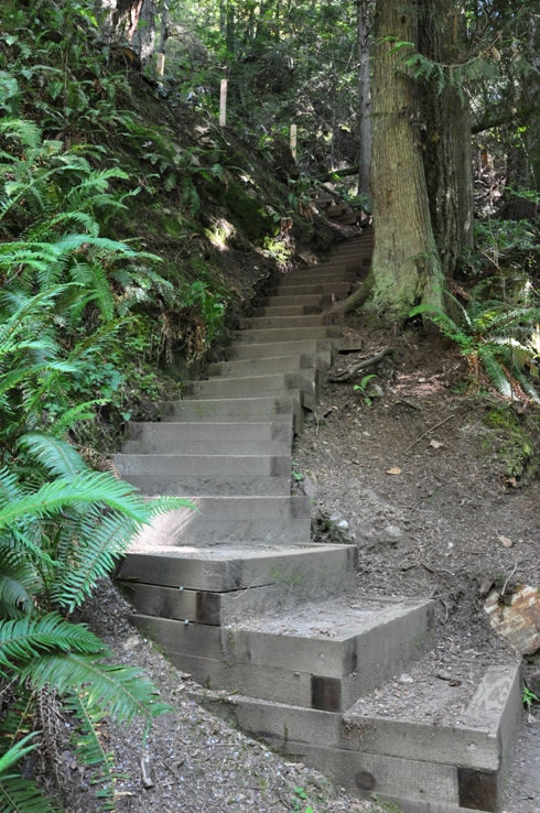 Soames Hill Park stairs