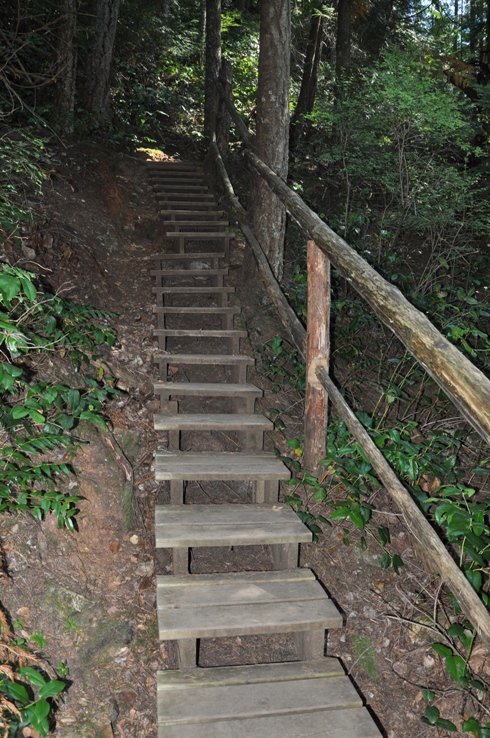 Soames Hill Park stairs