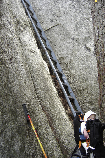 Stawamus Chief ladder