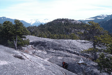 Stawamus summit