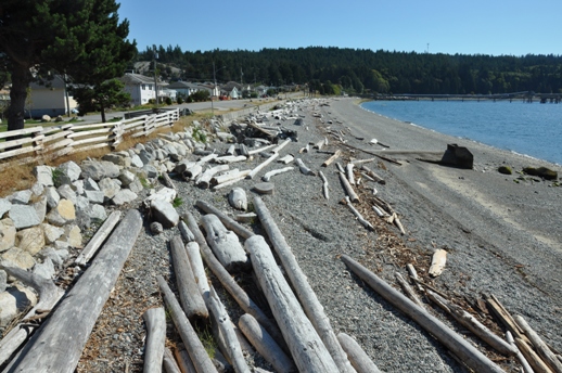 Beach at Sechelt