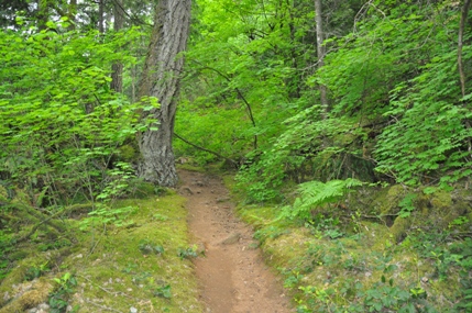 Whippoorwill Point Trail