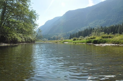 Widgeon Creek