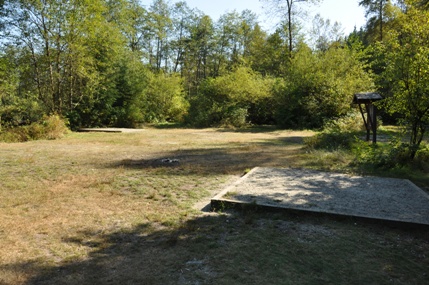 Widgeon Creek Campsite