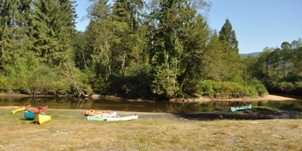 Widgeon Creek Campsite