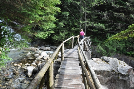 Bridge over Widgeon 