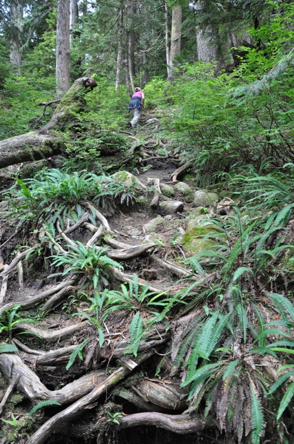 widgeon lake trail