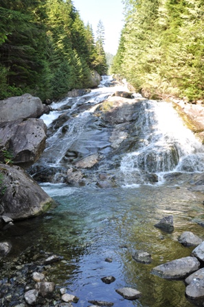 Widgeon Lake Creek