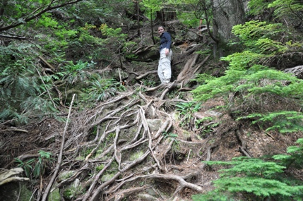 widgeon lake trail