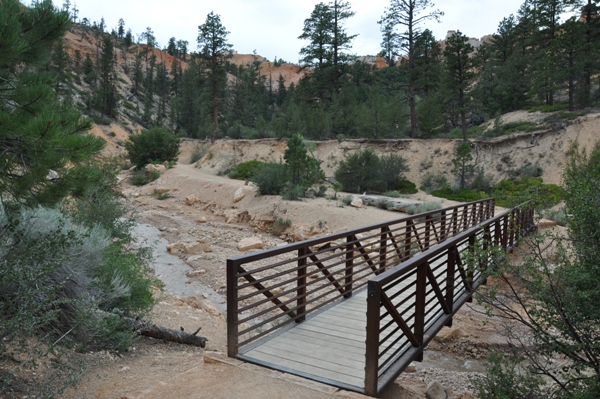 Mossy Cave Trail 