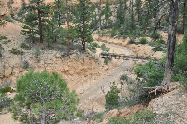 mossy cave trail