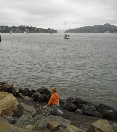 shores in Sausalito