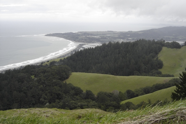 slopes of Mt Tamalpais