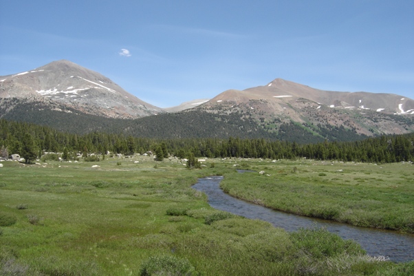 Tioga Pass, Dana Meadows