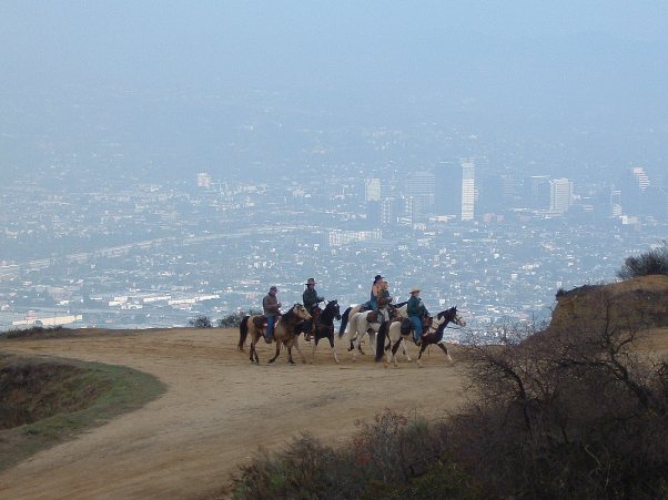 Horseback riding 