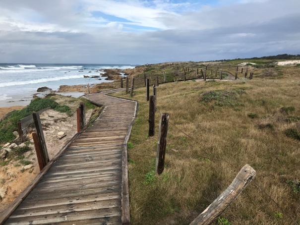 Boardwalk 