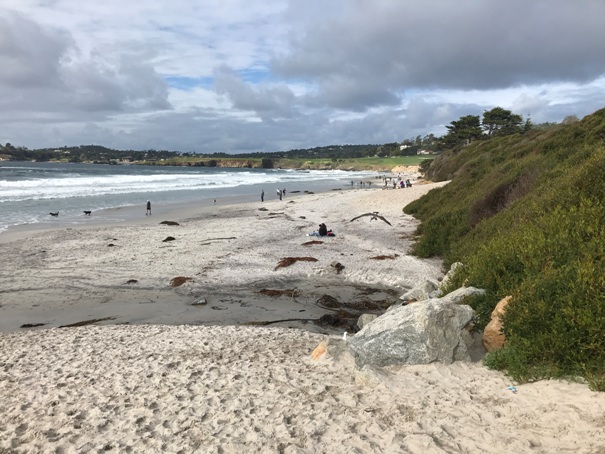 Carmel Beach