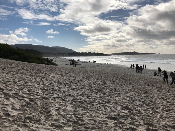 Carmel Beach