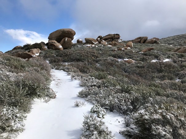 Luguna Mountains